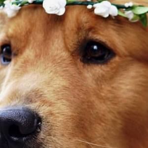 Meet your Posher, Cassy